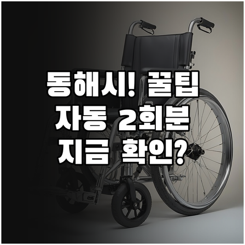2025 동해시 명절 위문 지원 연 ..