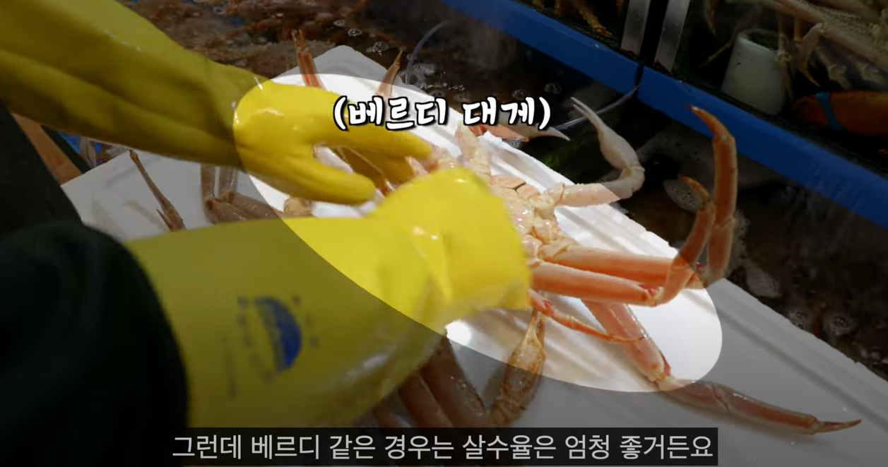 대게고르는법