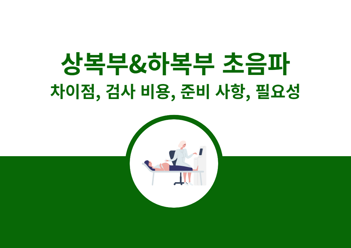 상복부 초음파 하복부 초음파 복부 초음파 차이점 검사 비용 준비사항 필요성 주의점 주의사항