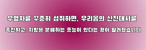  우엉차를 꾸준히 섭취하면, 우리몸의 신진대사를 촉진하고, 지방을 분해하는 효능이 있다는 것이 알려졌습니다