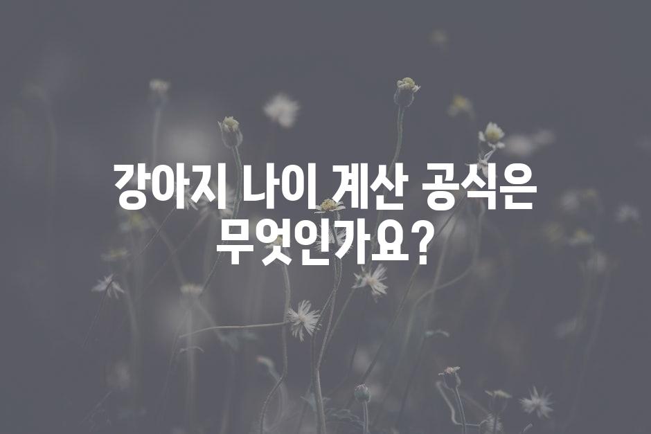 샘플 (46)