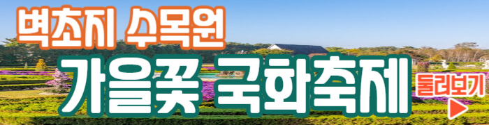 벽초지 수목원 가을꽃 국화축제 자세히 보기