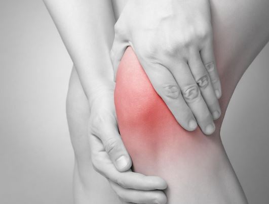 이모튼-캡슐-효능-효과