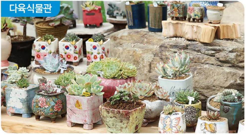 함평나비대축제