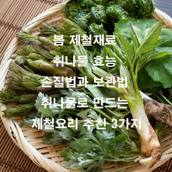 봄 제철재료 취나물 효능 손질법과 보관법 취나물로 만드는 제철요리 추천 3가지