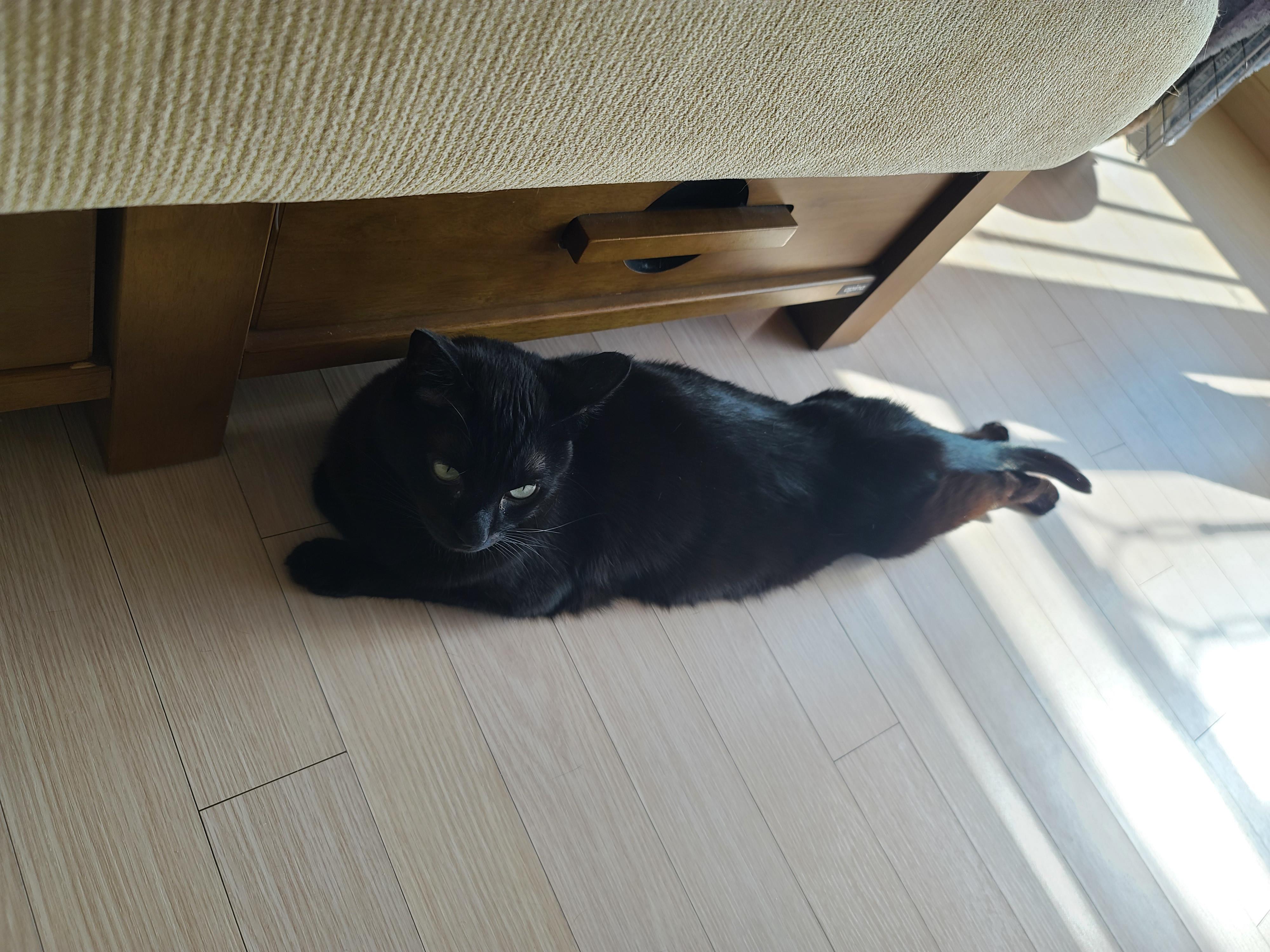 주제를 바꿔버린 건이와 상자놀이터 안의 다다 (feat.오메가3 안먹은 사랑이 ㅋㅋ)