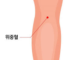 오금이 아픈 이유