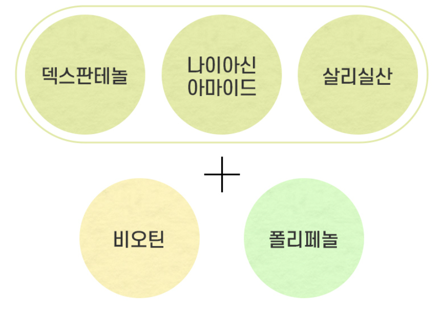 핵심 성분과 탈모 증상 완화 기능
