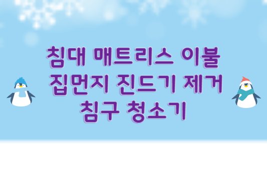 침대 매트리스 이불 집먼지 진드기 제거 001