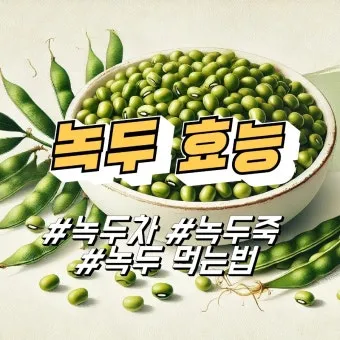 녹두 효능 부작용 녹두죽 끓이는법 칼로리 안내_18