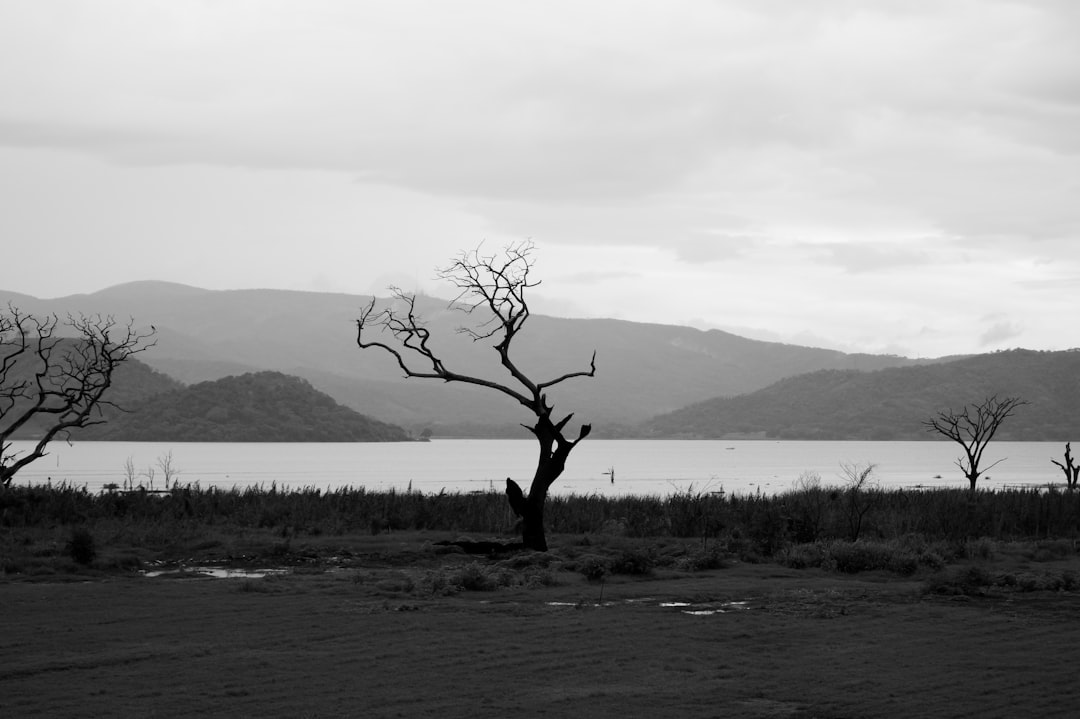 Depth.