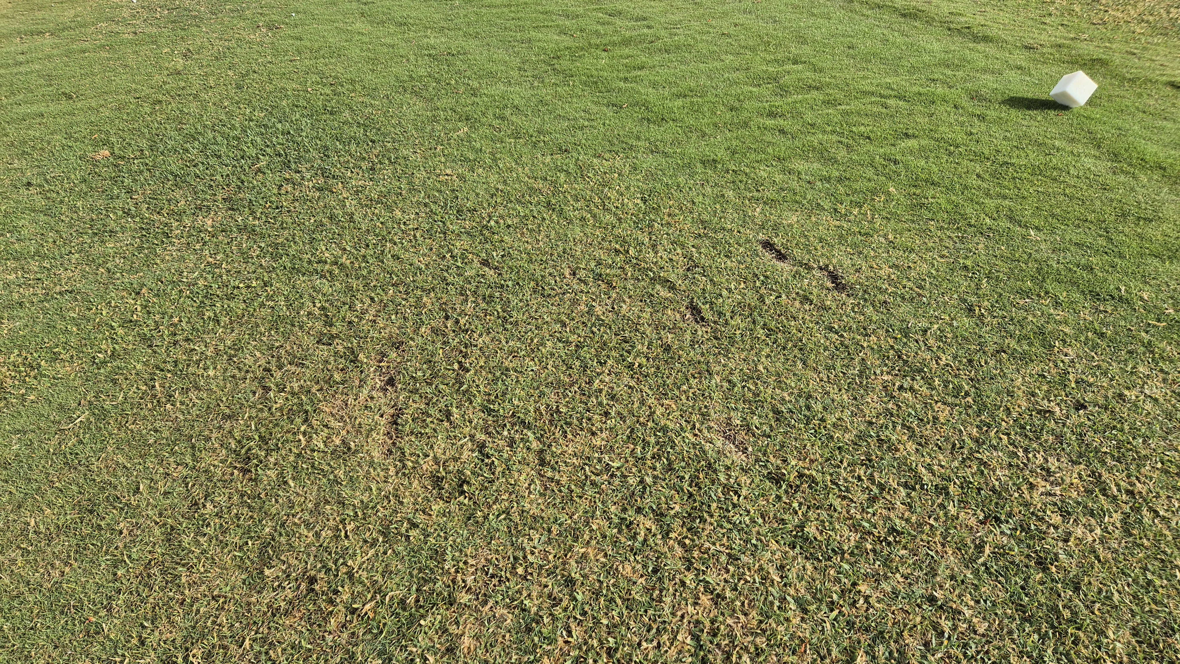 코랄오션cc 골프 라운드