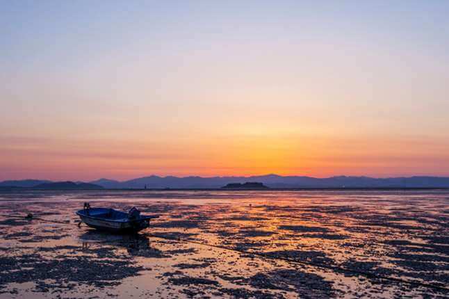 보령머드축제 2024