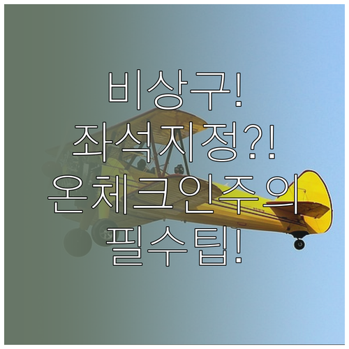 대한항공 비상구 좌석 지정과 온라인체..