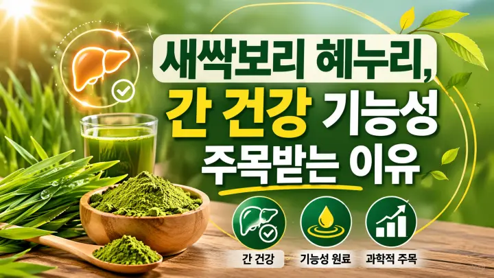새싹보리 혜누리 간 건강 기능성과 보급 확대