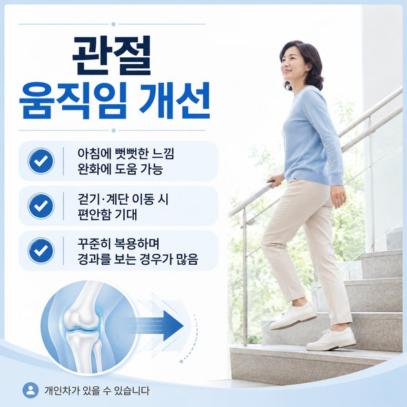 콘드로이친 효능