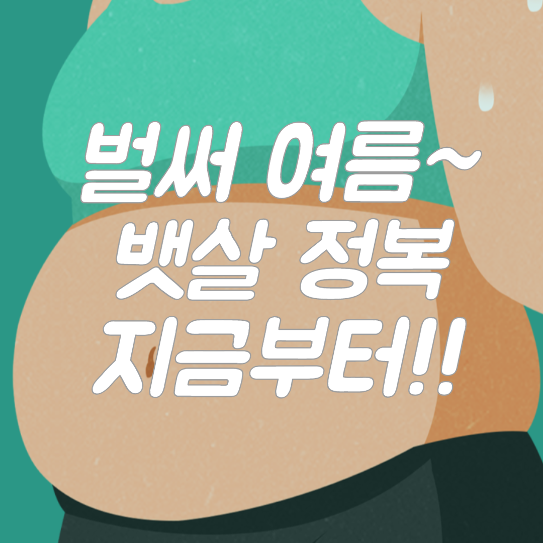 뱃살 정복