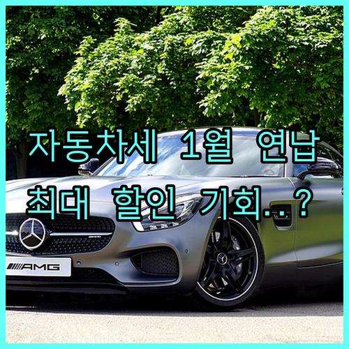 2025년 서울 자동차세 연납 1월 ..