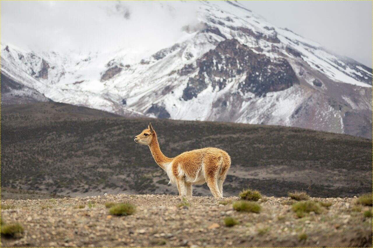 부산은행 정기예금 금리