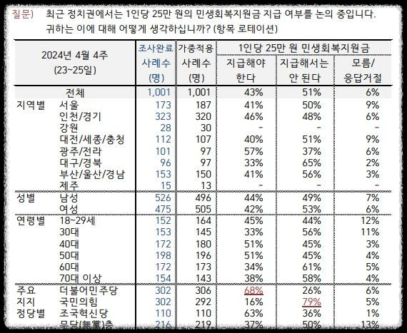민생지원금 25만원