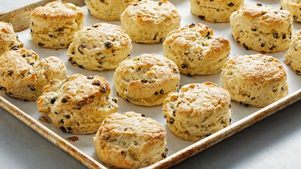 scone