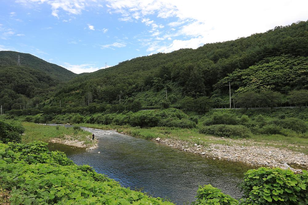 경북 금수문화공원야영장 소개