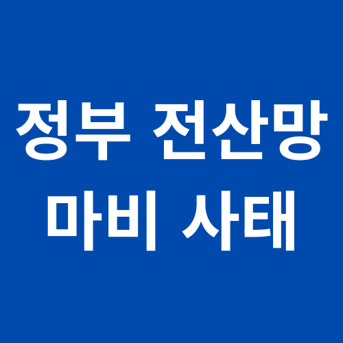 정부전산망 마비사태
