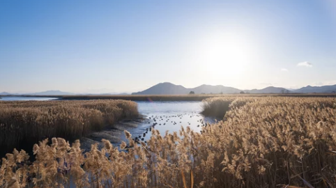 순천만 습지