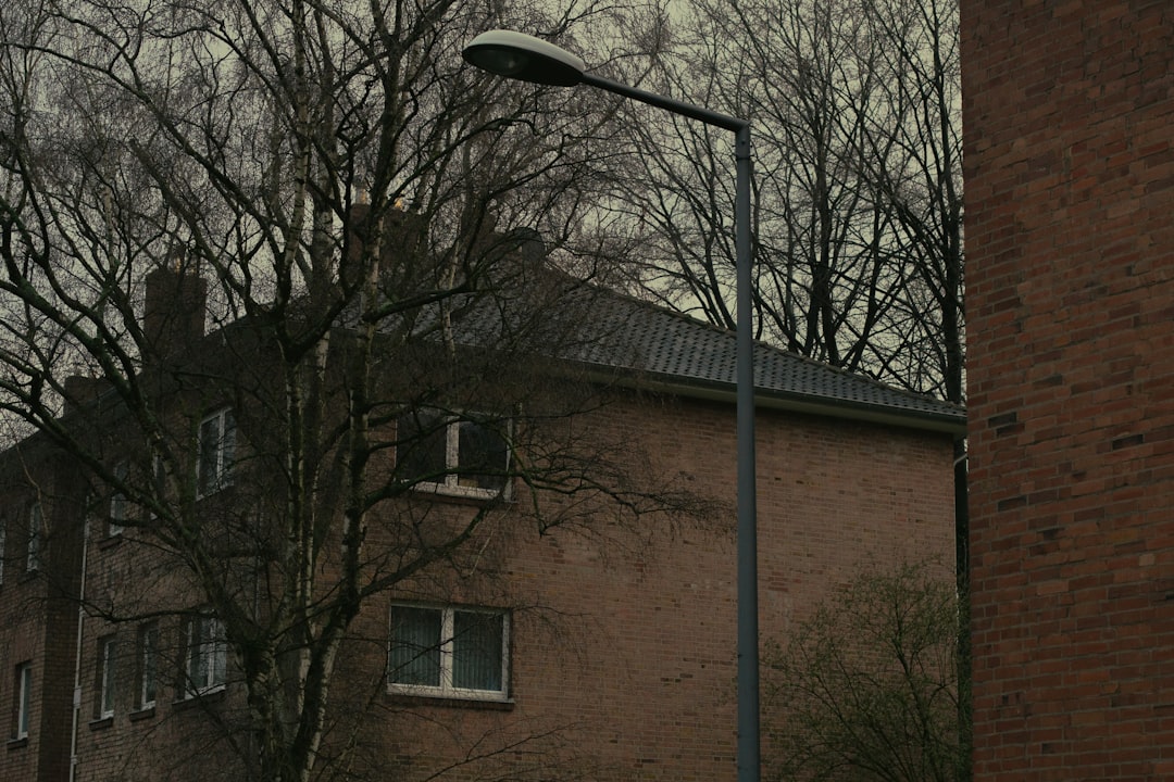 'Home'