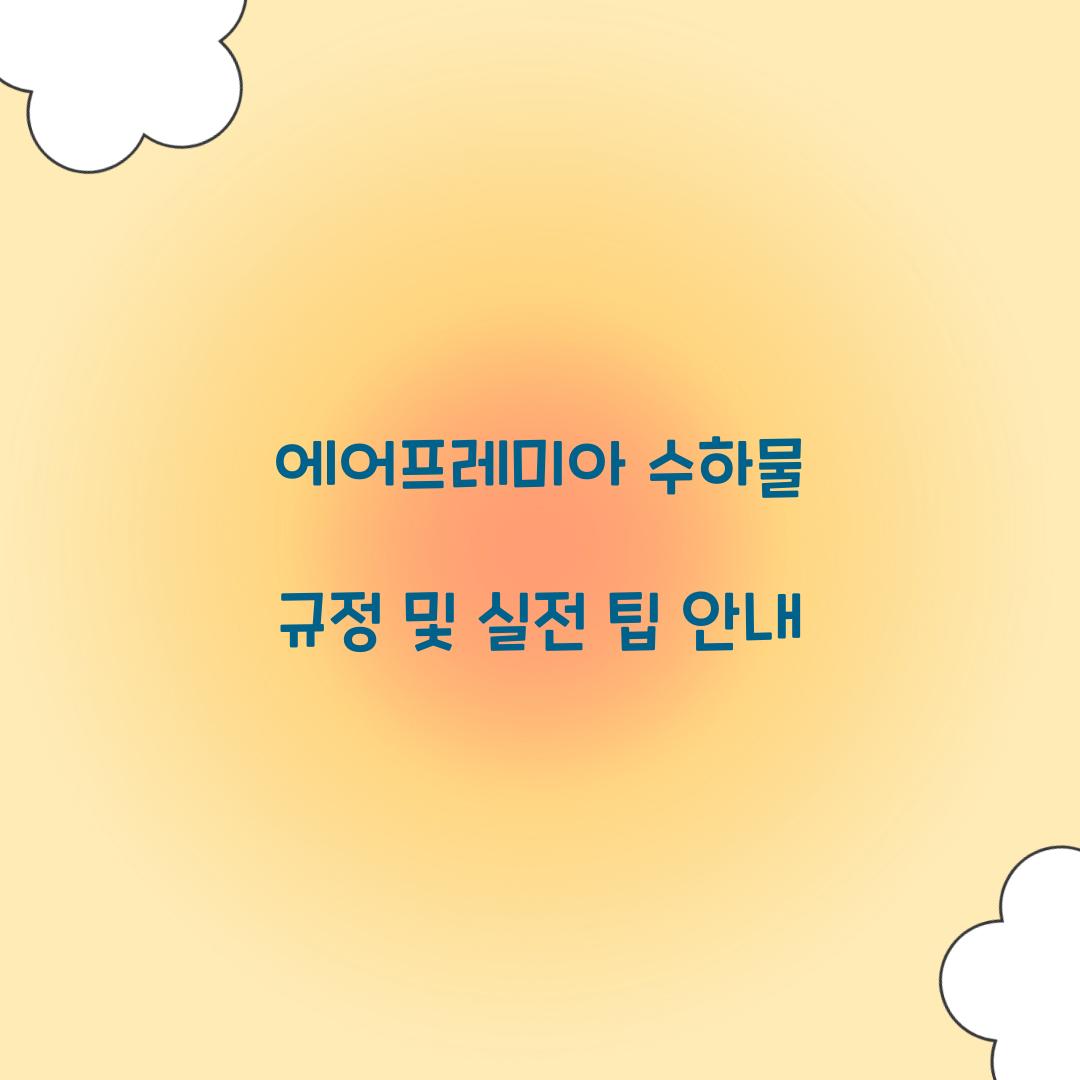 에어프레미아 수하물