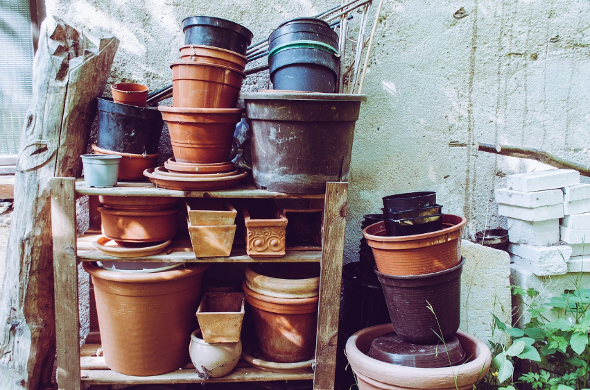 위암의 전조증상? 위축성 위염의 원인부터 식단 관리까지 완벽 정리 가이드