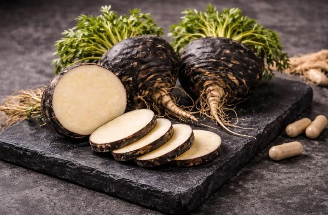 블랙마카 정자 수 유지