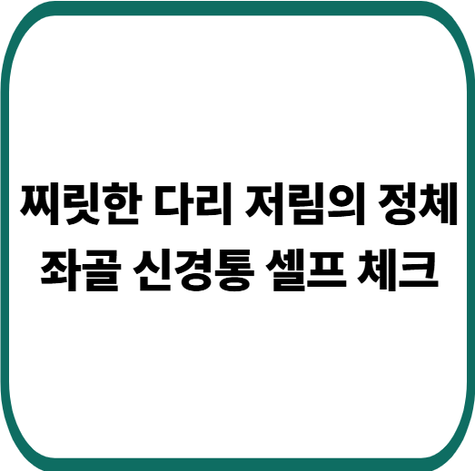 좌골 신경통 증상부터 치료까지 : 무하중 운동으로 통증 줄이는 방법
