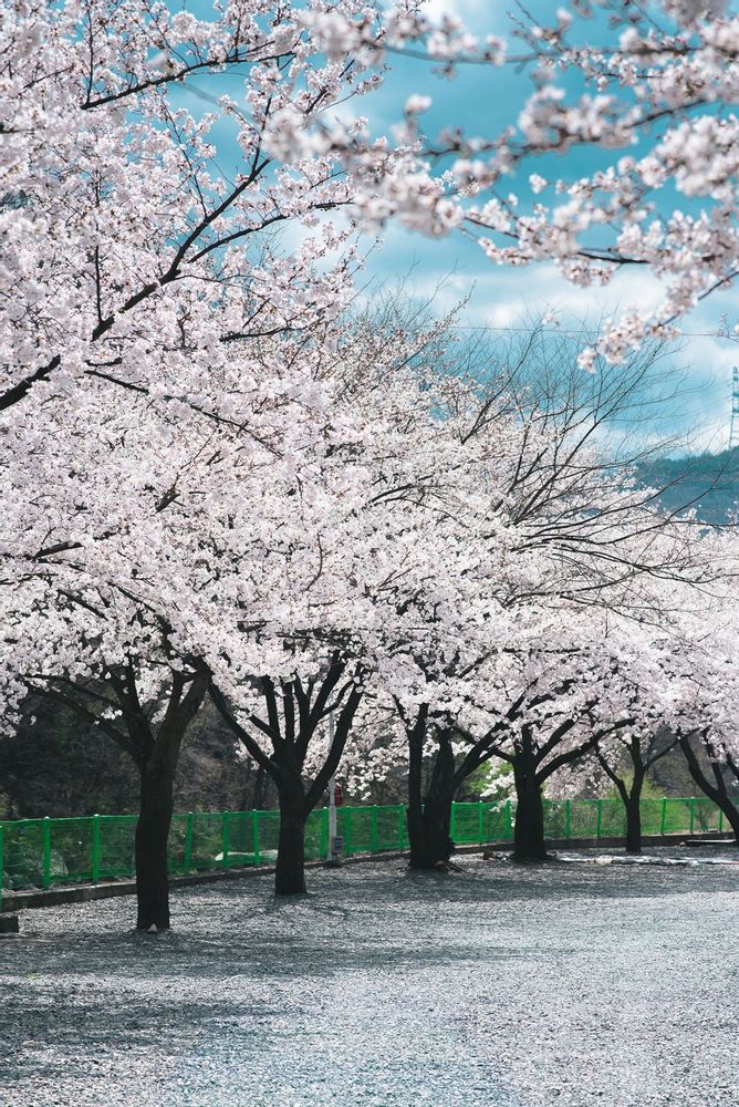 밀양 패밀리오토캠핑장 소개