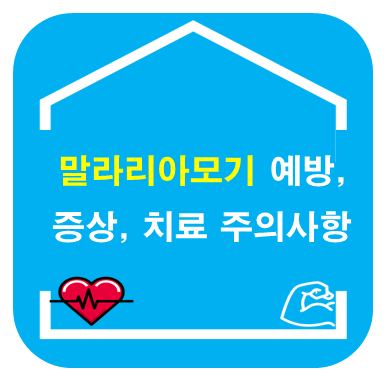 말라리아모기 예방, 증상, 치료 주의사항