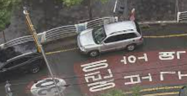 단속 정보 확인