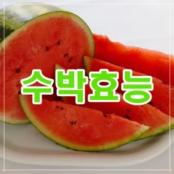 수박 효능_1