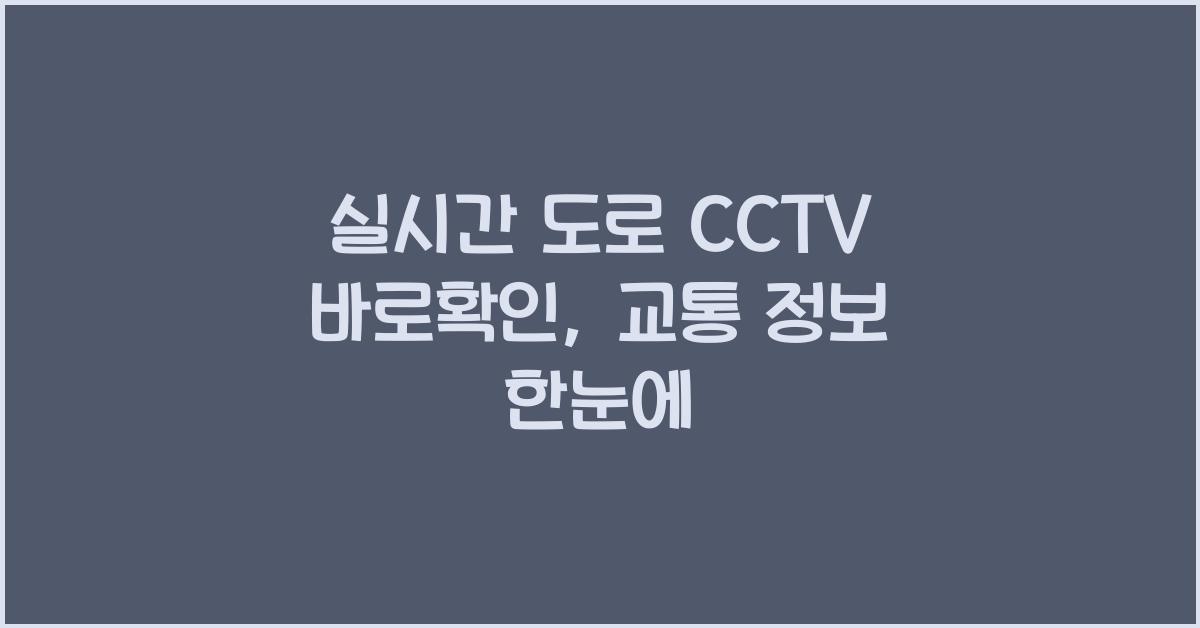 실시간 도로 cctv 바로확인