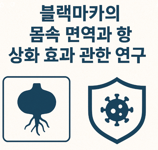 블랙마카의 몸속 면역과 항산화 효과에 관한 연구 사진