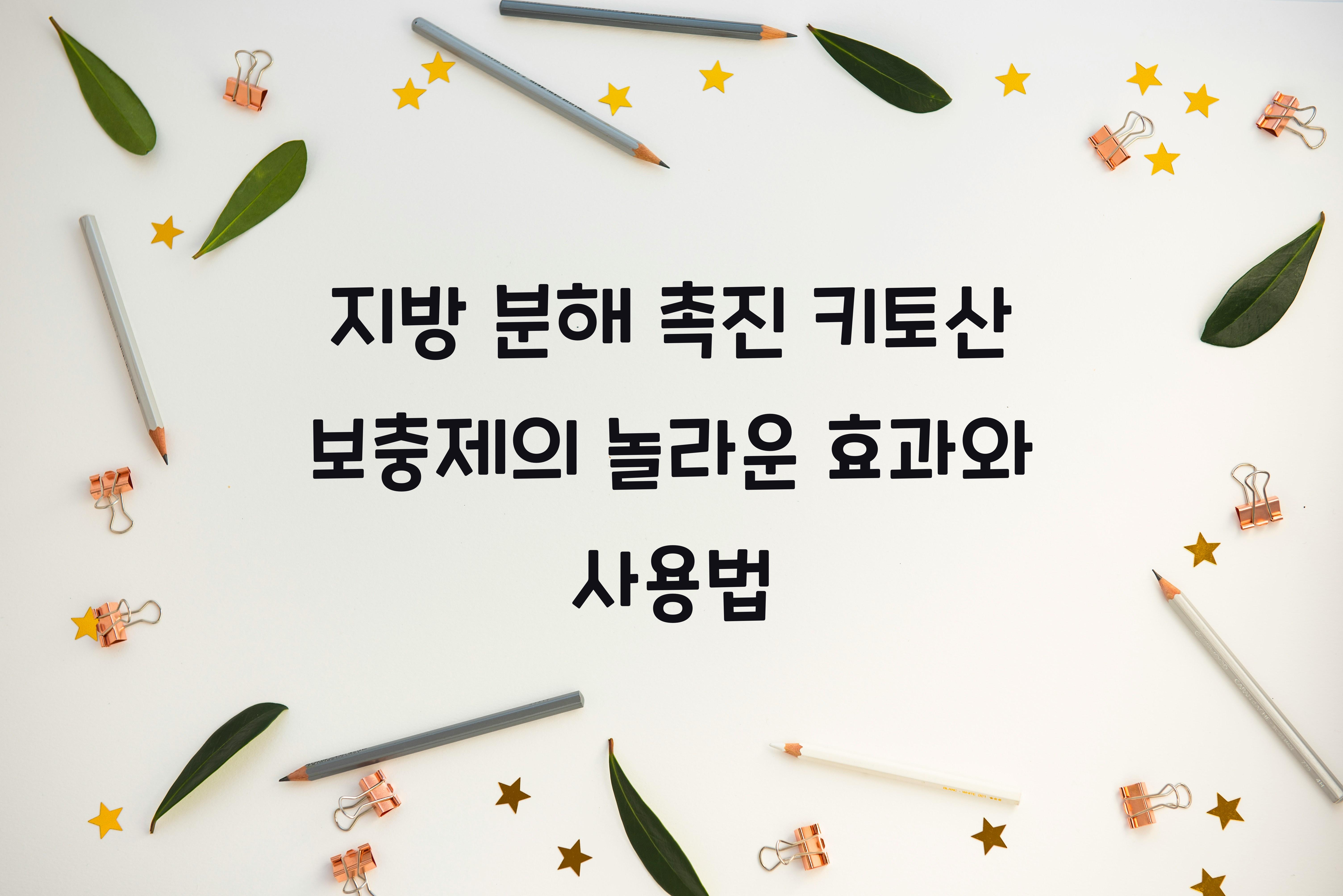 지방 분해 촉진 키토산 보충제