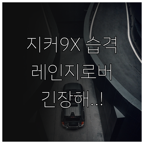 프리미엄 전기 SUV 지커 9X 레인..