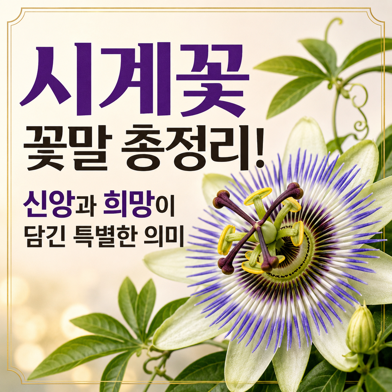 시계꽃 꽃말