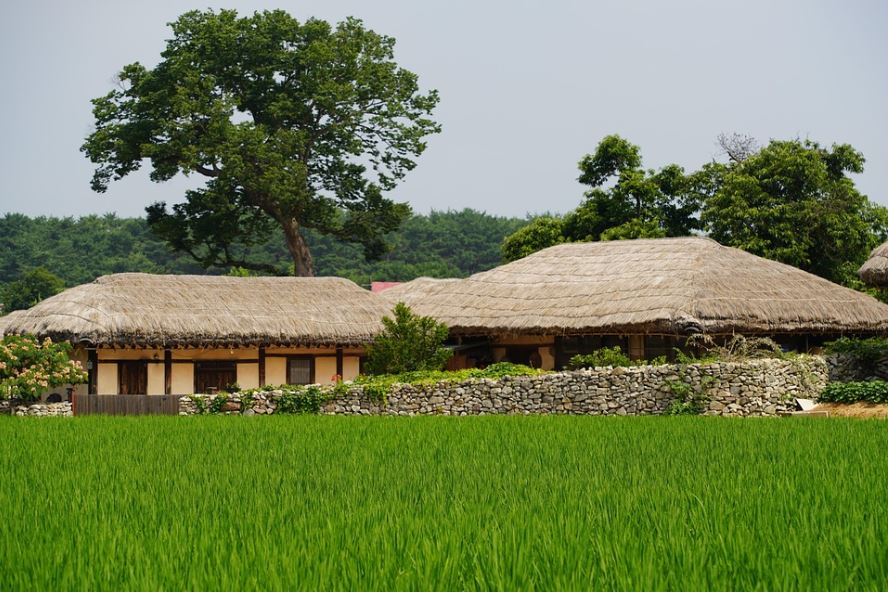 소설 사씨남정기 (줄거리, 인물, 주제, 문화적 영향) 사진