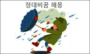 장대비꿈 해몽