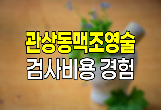 협심증 관상동맥조영술 검사비용 실제 경험담