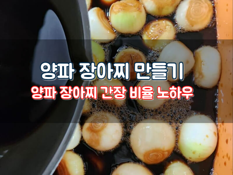 양파장아찌 만들기 간장 비율 레시피 양파 장아찌 보관 효능 칼로리