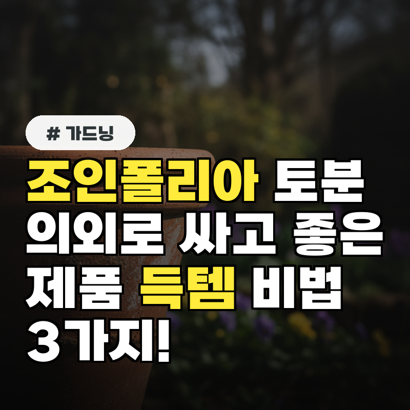 조인폴리아 토분 의외로 싸고 좋은 제품 득템 비법 3가지