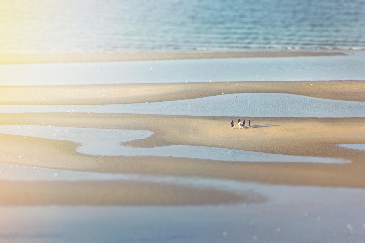 기초연금과 노령연금의 차이 점 수령액 조회_08