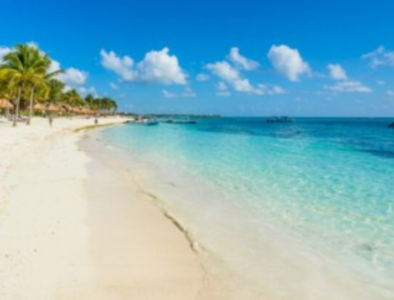 해외여행자-보험