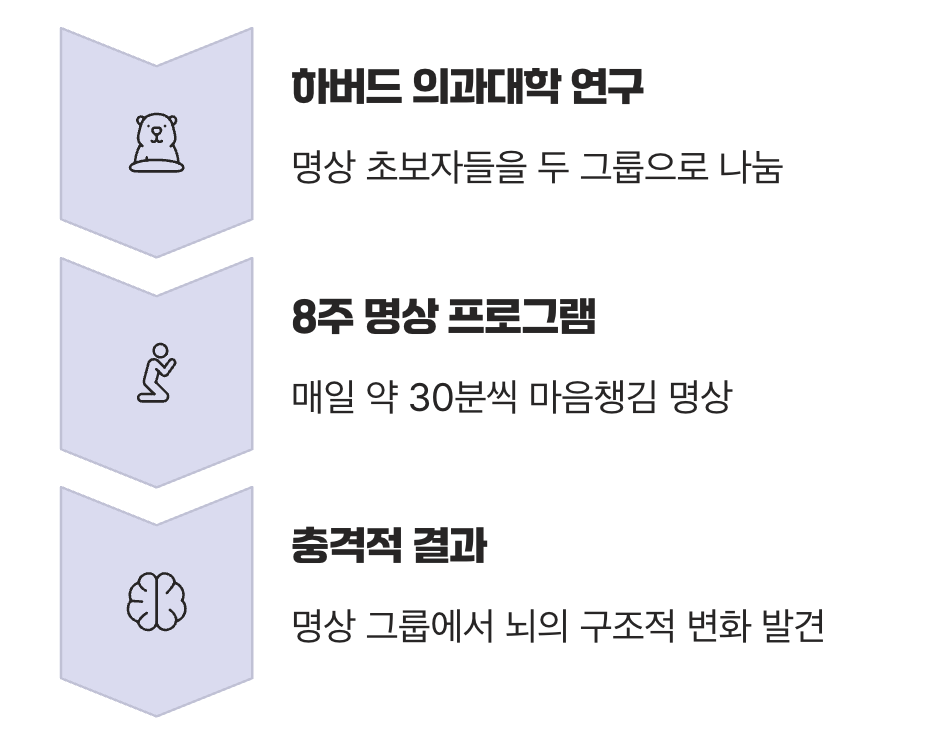 과학의 눈으로 증명된 '뇌의 변화'